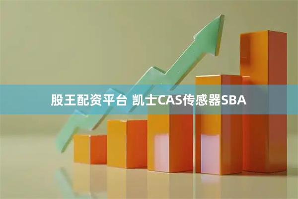 股王配资平台 凯士CAS传感器SBA