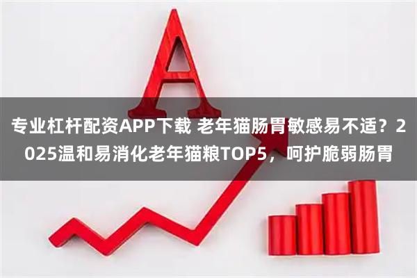 专业杠杆配资APP下载 老年猫肠胃敏感易不适?2025温和易消化老年猫粮TOP5,呵护脆弱肠胃