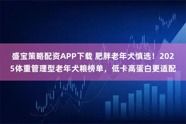 盛宝策略配资APP下载 肥胖老年犬慎选！2025体重管理型老年犬粮榜单，低卡高蛋白更适配